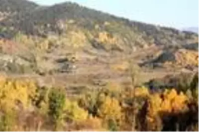 Son dakika haber... Şavşat'ta sonbahar güzelliği Son dakika haber... Şavşat'ta sonbahar güzelliği