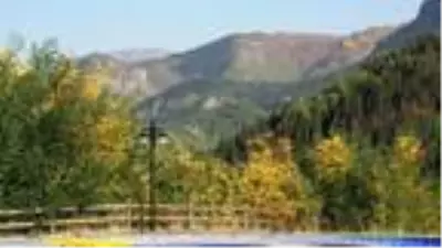 Son dakika haber... Şavşat'ta sonbahar güzelliği Son dakika haber... Şavşat'ta sonbahar güzelliği