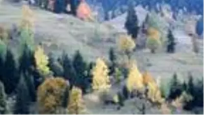 Son dakika haber... Şavşat'ta sonbahar güzelliği Son dakika haber... Şavşat'ta sonbahar güzelliği