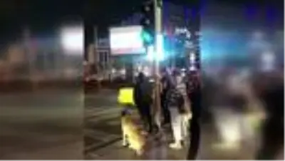 Sokak köpeği yolun karşısına geçmek için yeşil ışığı bekledi Sokak köpeği yolun karşısına geçmek için yeşil ışığı bekledi