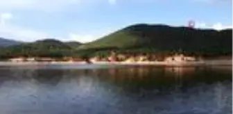 Yeniceköy: Tahtalı Yaylası bungalov evleri, göleti ve ormanıyla eşsiz bir manzara sunuyor Yeniceköy: Tahtalı Yaylası bungalov evleri, göleti ve ormanıyla eşsiz bir manzara sunuyor