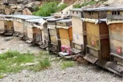 Tüketiciler bal alırken fiyata değil güvene önem veriyor Tüketiciler bal alırken fiyata değil güvene önem veriyor