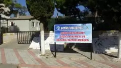 Yazlıkçıların sokağa terk ettikleri hayvanlara belediye sahip çıktı Yazlıkçıların sokağa terk ettikleri hayvanlara belediye sahip çıktı