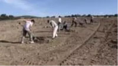 Yozgat'ın bozkırında devlet desteğiyle trüf mantarı üretilecek Yozgat'ın bozkırında devlet desteğiyle trüf mantarı üretilecek
