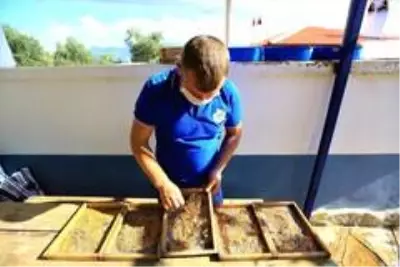 - 81 İl'e, 5 Milyon 640 Bin yerel tohum dağıtıldı - 81 İl'e, 5 Milyon 640 Bin yerel tohum dağıtıldı
