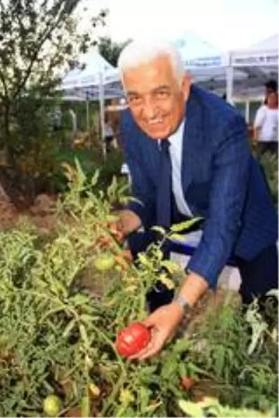 - 81 İl'e, 5 Milyon 640 Bin yerel tohum dağıtıldı - 81 İl'e, 5 Milyon 640 Bin yerel tohum dağıtıldı