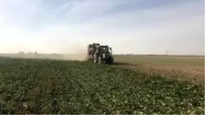Aksaray'da pancar hasadı sürüyor