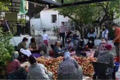 Son dakika haberleri! Aliağa'da nar ekşisi kazanları kaynamaya başladı Son dakika haberleri! Aliağa'da nar ekşisi kazanları kaynamaya başladı