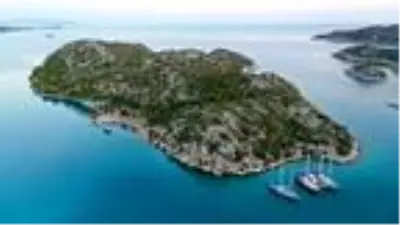 Aşırlı Adası'ndaki dağ keçilerine yiyecek ve içecek Aşırlı Adası'ndaki dağ keçilerine yiyecek ve içecek