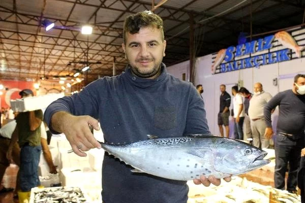 Balık mezadında çekişmeli pazarlık
