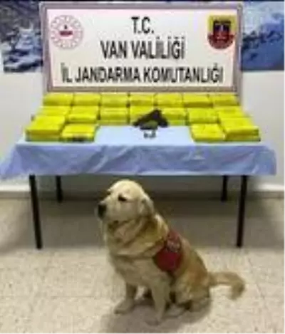'Barut'lu operasyonda odunlukta gömülü 61 kilo eroin bulundu