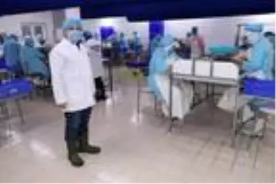 Bilecik'ten dünyaya 700 ton salyangoz dolması ihracatı Bilecik'ten dünyaya 700 ton salyangoz dolması ihracatı