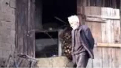 Yangın çıkan köyde enkaz kaldırma çalışması sürüyor - BOLU Yangın çıkan köyde enkaz kaldırma çalışması sürüyor - BOLU