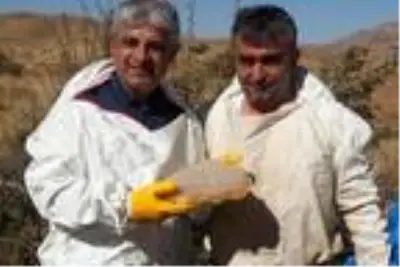 Dünyaca ünlü Bitlis'in karakovan balının hasadına başlandı Dünyaca ünlü Bitlis'in karakovan balının hasadına başlandı