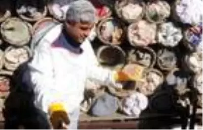 Dünyaca ünlü Bitlis'in karakovan balının hasadına başlandı Dünyaca ünlü Bitlis'in karakovan balının hasadına başlandı