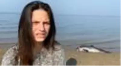 Bursa'da başından vurularak öldürülen yavru yunusun ailesi denizde şov yaptı Bursa'da başından vurularak öldürülen yavru yunusun ailesi denizde şov yaptı