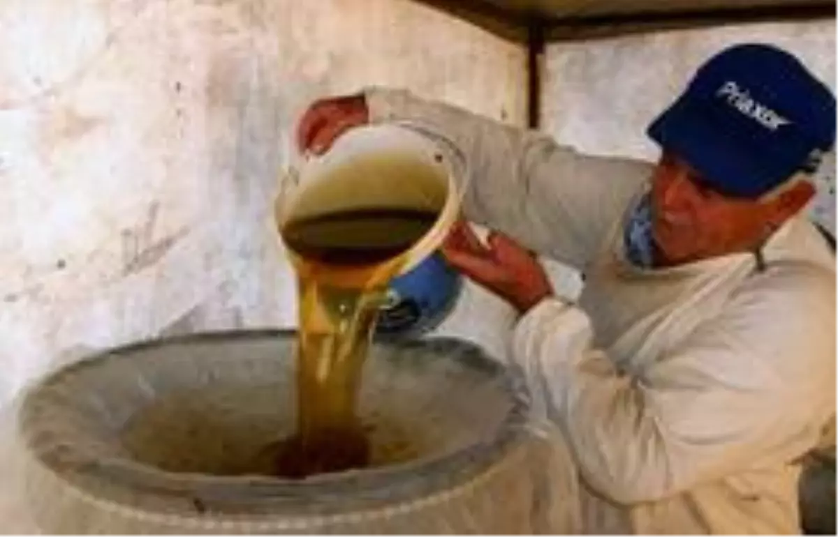 Çam balında kayıp yıl