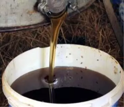 Çam balında kayıp yıl Çam balında kayıp yıl