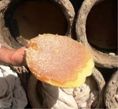 Dünyaca ünlü Bitlis'in karakovan balının hasadına başlandı Dünyaca ünlü Bitlis'in karakovan balının hasadına başlandı