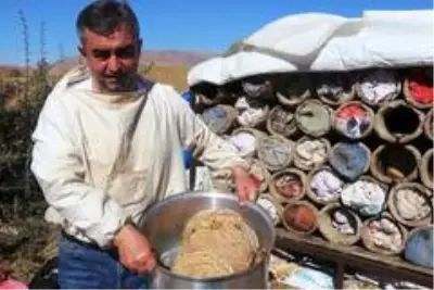 Dünyaca ünlü Bitlis'in karakovan balının hasadına başlandı Dünyaca ünlü Bitlis'in karakovan balının hasadına başlandı