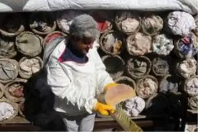 Dünyaca ünlü Bitlis'in karakovan balının hasadına başlandı Dünyaca ünlü Bitlis'in karakovan balının hasadına başlandı