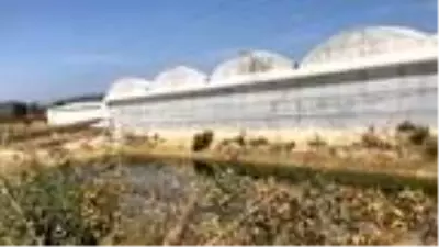 Gölette cansız bedeni bulunan Afgan işçiyi oda arkadaşı öldürmüş Gölette cansız bedeni bulunan Afgan işçiyi oda arkadaşı öldürmüş