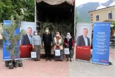 İbradı'da çiftçiye zeytin ve defne fidesi dağıtıldı İbradı'da çiftçiye zeytin ve defne fidesi dağıtıldı