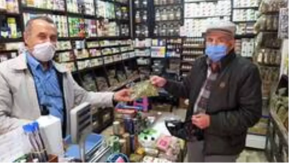 Altın gibi sürekli yükseliyor! Ihlamurun kilosu 220 lira oldu, vatandaş gramla satın alıyor