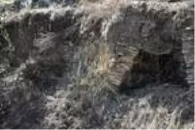 Nazilli'de Bizans dönemine ait yerleşim yerleri keşfedildi Nazilli'de Bizans dönemine ait yerleşim yerleri keşfedildi