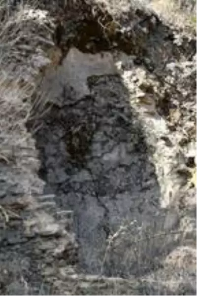 Nazilli'de Bizans dönemine ait yerleşim yerleri keşfedildi Nazilli'de Bizans dönemine ait yerleşim yerleri keşfedildi