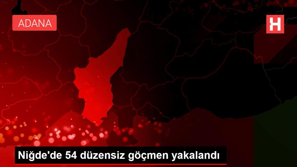 Niğde'de 54 düzensiz göçmen yakalandı