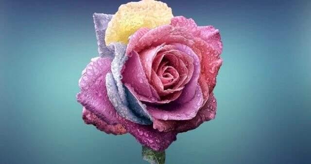 Özlü sözler nelerdir? En güzel özlü sözler, kısa sözler, sevgi sözleri, manalı sözler, sevda sözleri hangileridir?