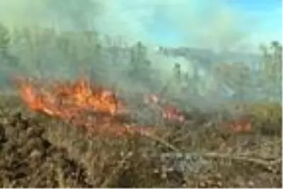 Son dakika: Samsun'da orman yangını, ekipler müdahale ediyor (2) Son dakika: Samsun'da orman yangını, ekipler müdahale ediyor (2)