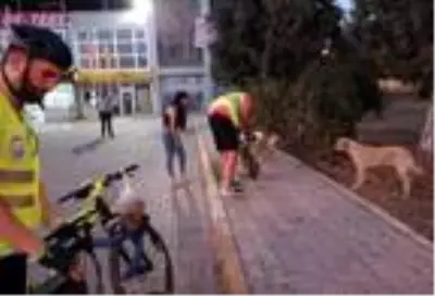 Sanayideki sahipsiz hayvanları beslemek için pedal çevirdiler Sanayideki sahipsiz hayvanları beslemek için pedal çevirdiler