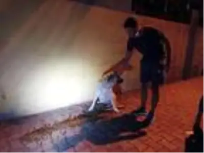 Sanayideki sahipsiz hayvanları beslemek için pedal çevirdiler Sanayideki sahipsiz hayvanları beslemek için pedal çevirdiler