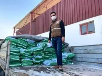 Sarıgöl'de çiftçilere fiğ tohumu dağıtıldı Sarıgöl'de çiftçilere fiğ tohumu dağıtıldı