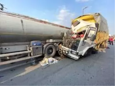 Son dakika... TEM Otoyolunda feci kaza: 1 ölü, 1 yaralı Son dakika... TEM Otoyolunda feci kaza: 1 ölü, 1 yaralı
