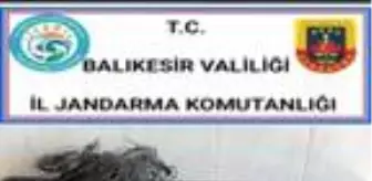 Son dakika haber... Uyuşturucu ticareti yaptıkları ...