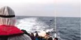 Dha: Son dakika! Yunanistan'ın ölüme terk ettiği 34 kaçak göçmeni Sahil Güvenlik kurtardı Dha: Son dakika! Yunanistan'ın ölüme terk ettiği 34 kaçak göçmeni Sahil Güvenlik kurtardı