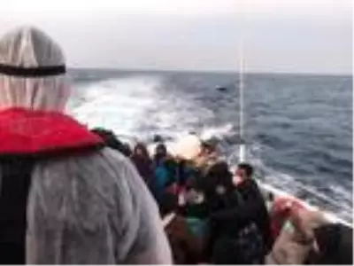 Son dakika! Yunanistan'ın ölüme terk ettiği 34 kaçak göçmeni Sahil Güvenlik kurtardı Son dakika! Yunanistan'ın ölüme terk ettiği 34 kaçak göçmeni Sahil Güvenlik kurtardı