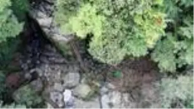 Zonguldak, kömür ve doğalgazın ardından şimdi de doğasıyla dünyaya açılacak Zonguldak, kömür ve doğalgazın ardından şimdi de doğasıyla dünyaya açılacak