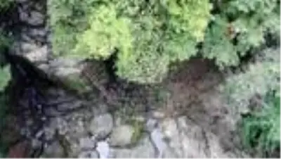 Zonguldak, kömür ve doğalgazın ardından şimdi de doğasıyla dünyaya açılacak Zonguldak, kömür ve doğalgazın ardından şimdi de doğasıyla dünyaya açılacak