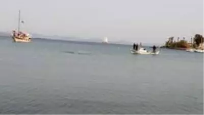 29 kilometrelik mesafeyi 12 saatte yüzdü 29 kilometrelik mesafeyi 12 saatte yüzdü