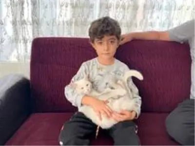 Ağaçta mahsur kalan kediyi köprü yaptığı tahta ile kurtardı Ağaçta mahsur kalan kediyi köprü yaptığı tahta ile kurtardı