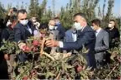 DAP ve DAKA'dan Ahlat'taki elma yetiştiricilerine destek DAP ve DAKA'dan Ahlat'taki elma yetiştiricilerine destek