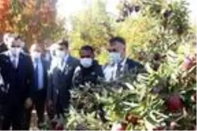 DAP ve DAKA'dan Ahlat'taki elma yetiştiricilerine destek DAP ve DAKA'dan Ahlat'taki elma yetiştiricilerine destek