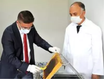 Balıkesir Üniversitesinde ilk bal hasadı gerçekleştirildi Balıkesir Üniversitesinde ilk bal hasadı gerçekleştirildi