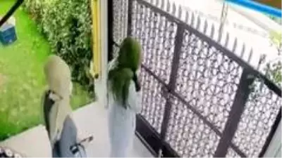 Bursa'da kadın hırsızlar şok etti Bursa'da kadın hırsızlar şok etti