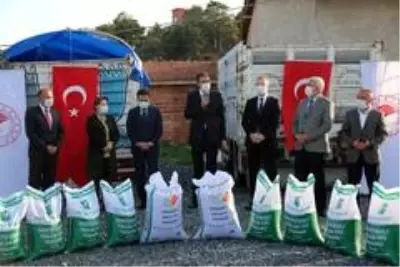 Çiftçilere 75 ton Macar Fiği tohumu dağıtıldı Çiftçilere 75 ton Macar Fiği tohumu dağıtıldı