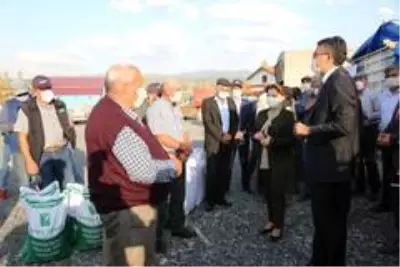 Çiftçilere 75 ton Macar Fiği tohumu dağıtıldı Çiftçilere 75 ton Macar Fiği tohumu dağıtıldı